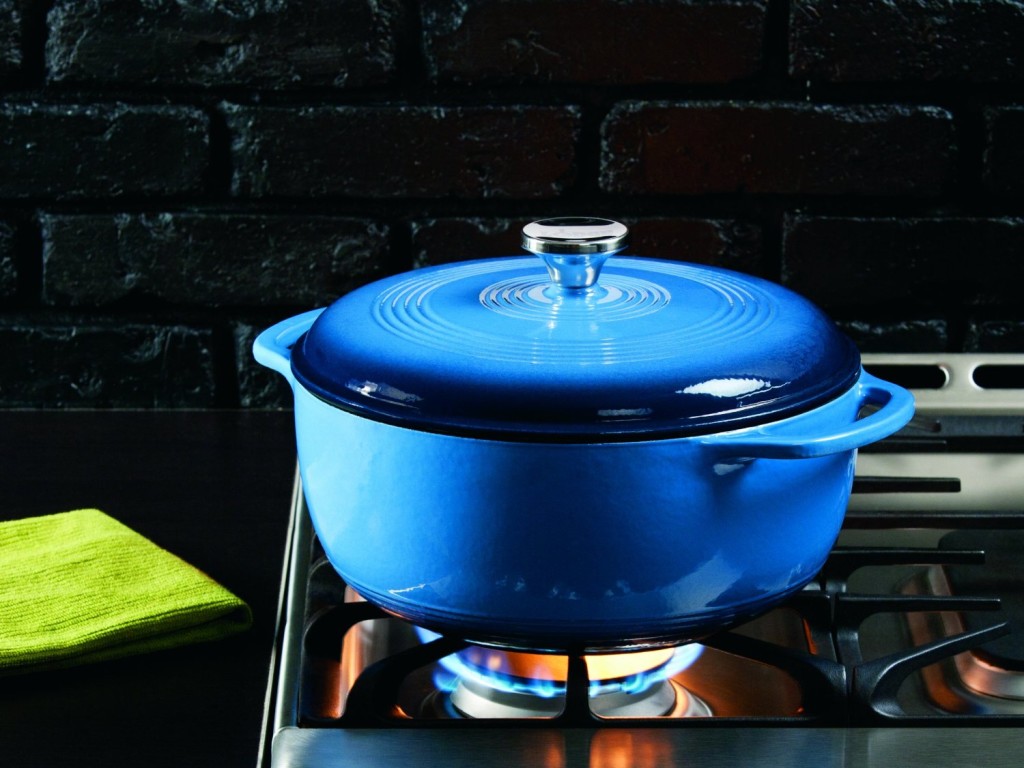 lodge color enameled cast iron dutch oven